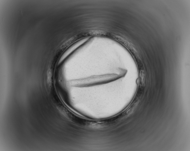 X0000086910550200705141704