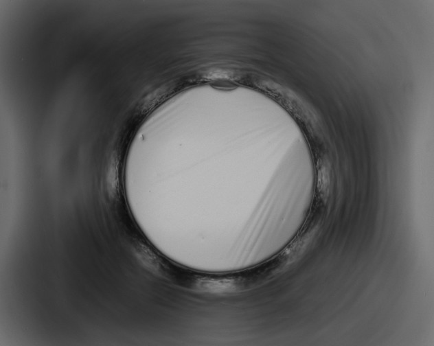 X0000086910554200705141704