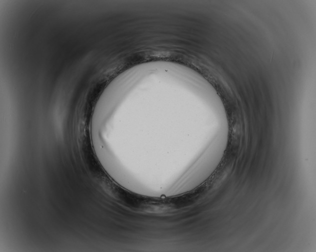 X0000086910555200705141704