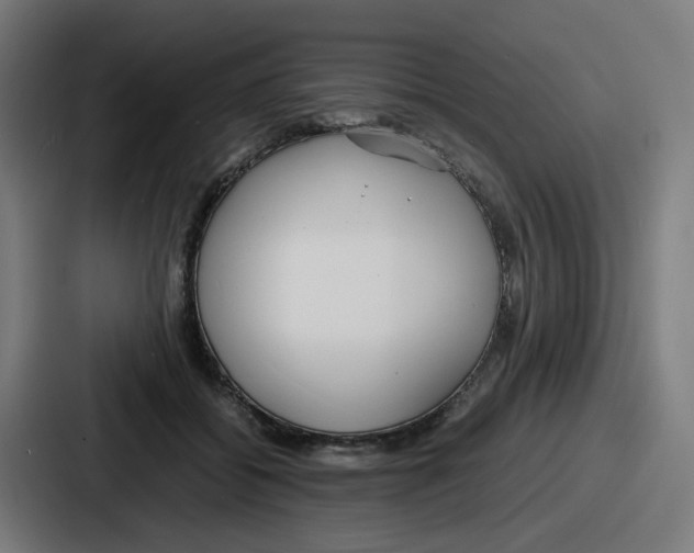 X0000086910556200705141704