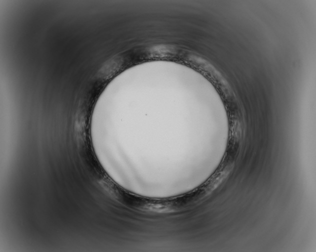 X0000086910557200705141704