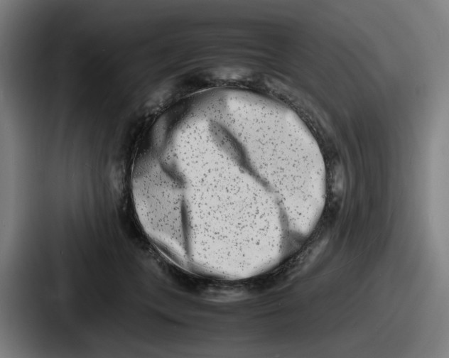 X0000086910559200705141704