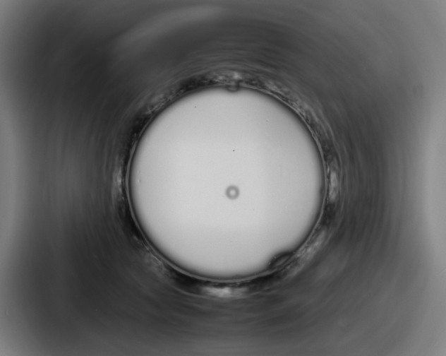 X0000086910561200705141705