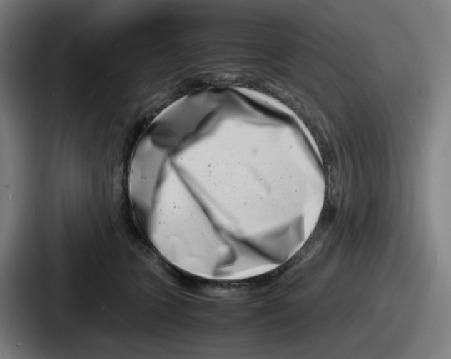 X0000086910563200705141705