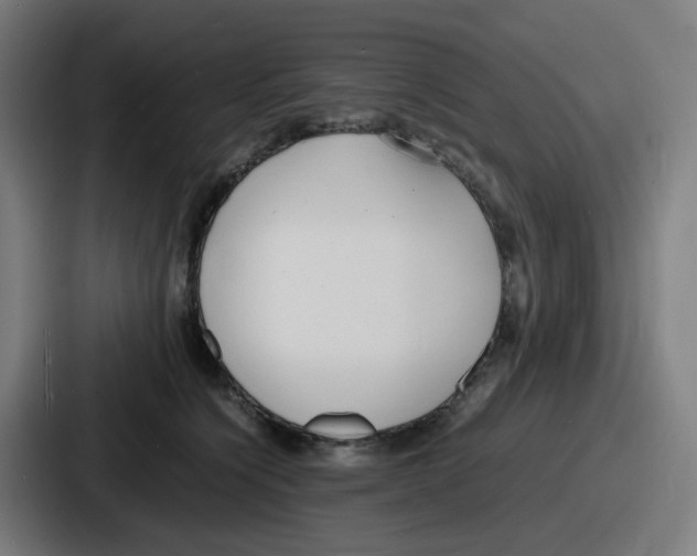 X0000086910564200705141705