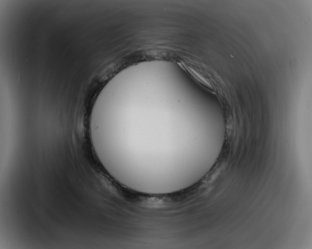 X0000086910566200705141705