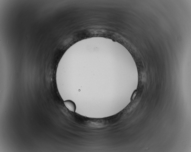 X0000086910567200705141705