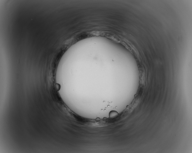 X0000086910569200705141705