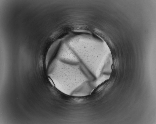 X0000086910570200705141705