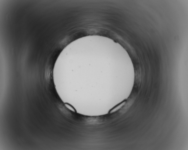 X0000086910574200705141705