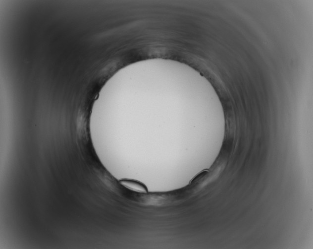 X0000086910575200705141705