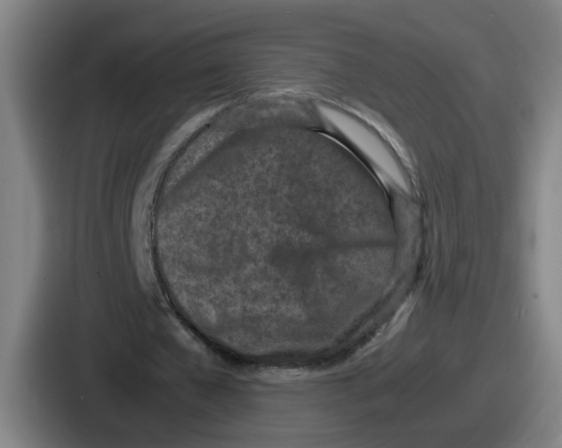 X0000086910577200705141704