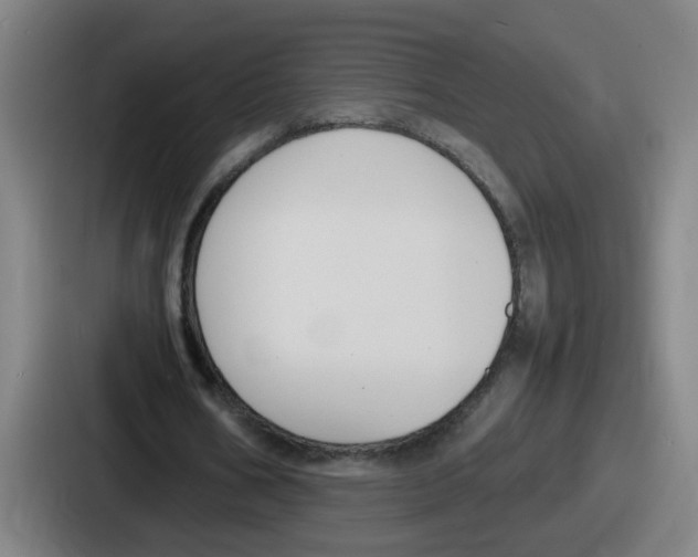 X0000086910578200705141704