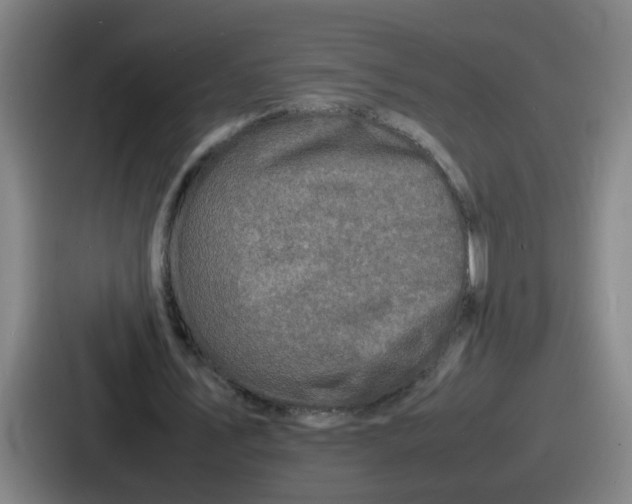 X0000086910579200705141704