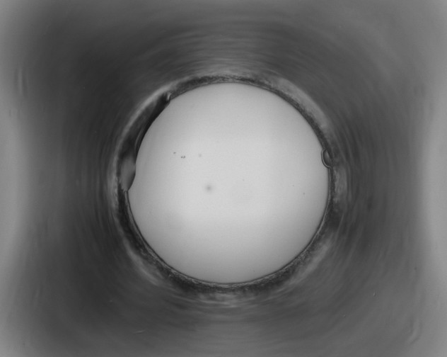 X0000086910580200705141704