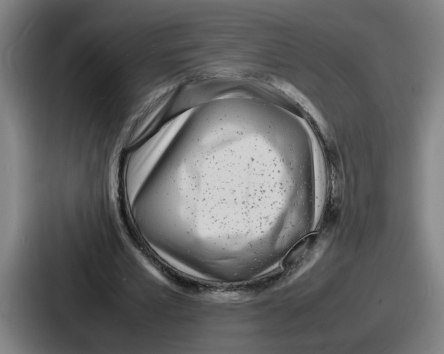 X0000086910581200705141704