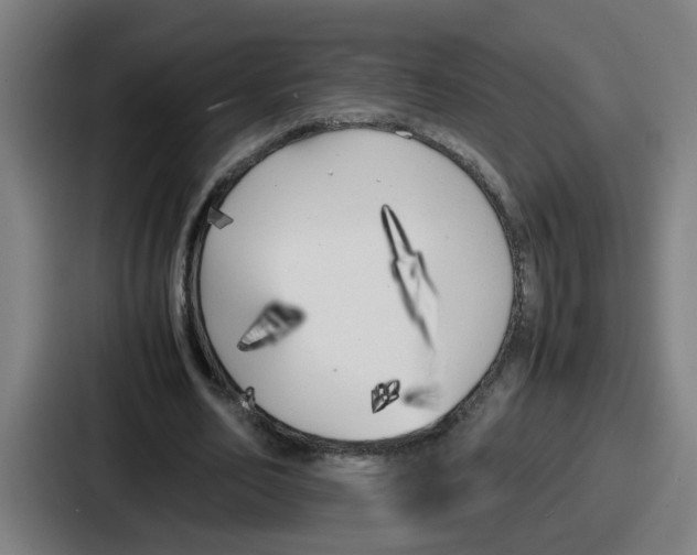 X0000086910582200705141704