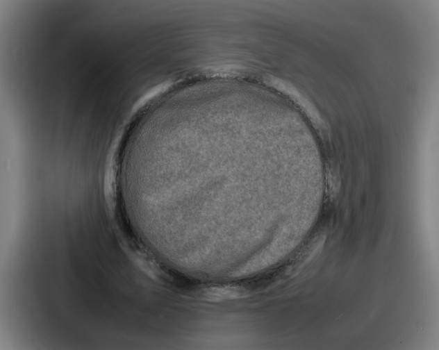 X0000086910583200705141704