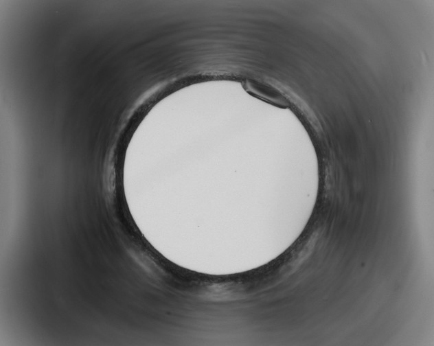 X0000086910584200705141704