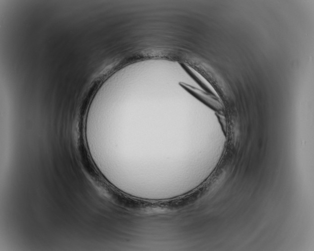 X0000086910586200705141704