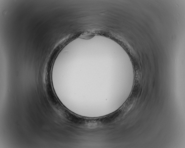 X0000086910587200705141704