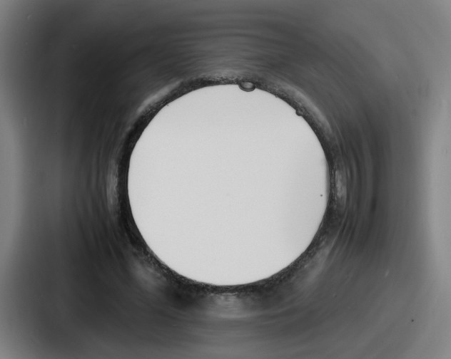 X0000086910588200705141704