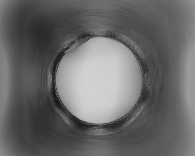 X0000086910589200705141704