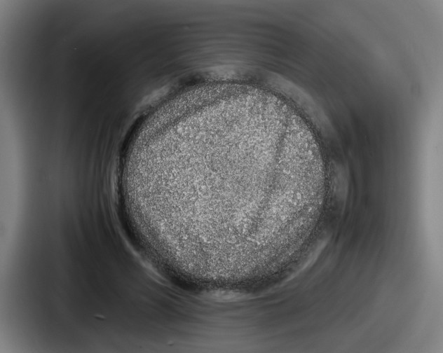 X0000086910590200705141704