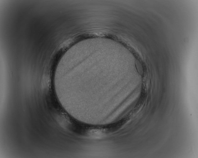 X0000086910595200705141704