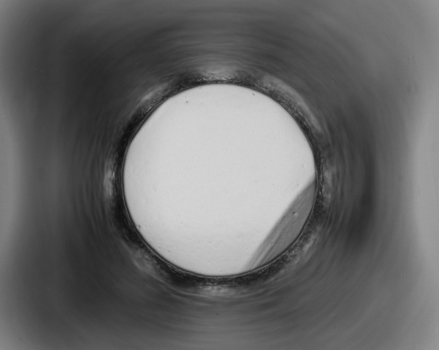 X0000086910596200705141704