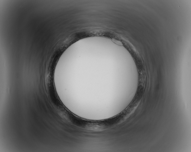 X0000086910597200705141704