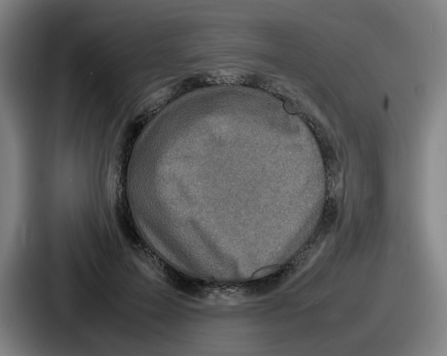 X0000086910599200705141704