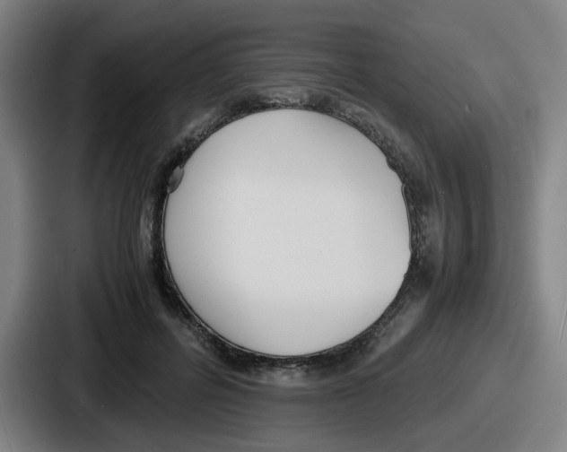 X0000086910600200705141704