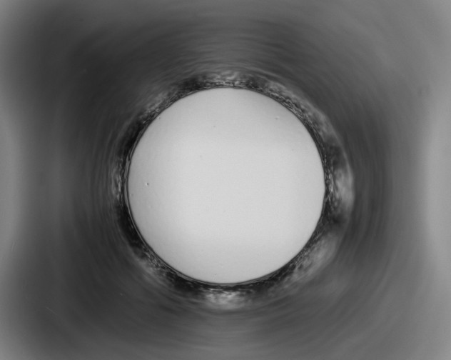 X0000086910602200705141704