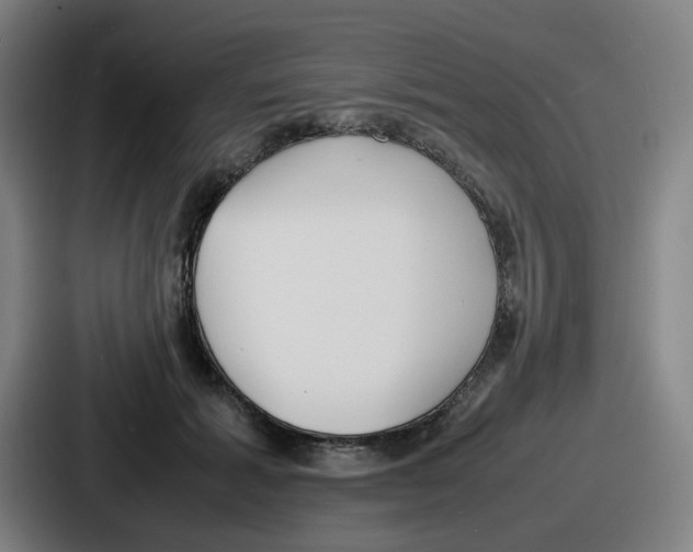 X0000086910605200705141704