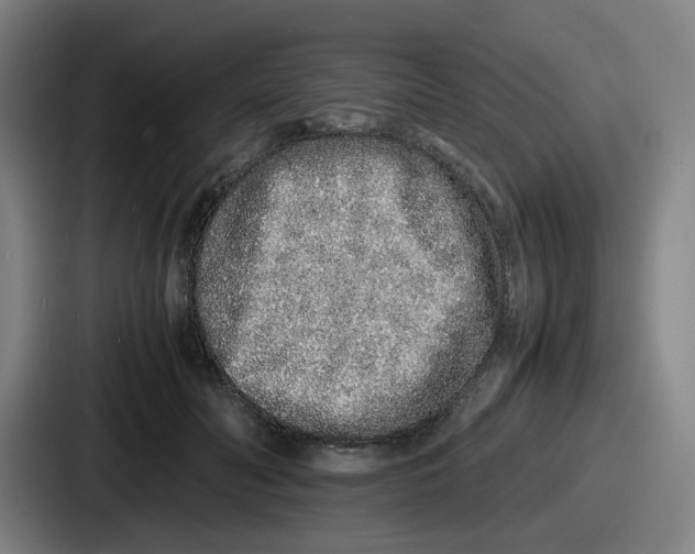 X0000086910606200705141704