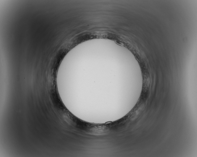 X0000086910609200705141704