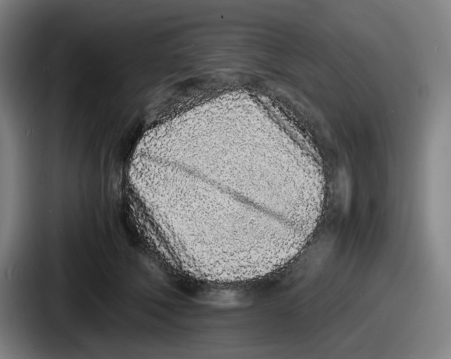 X0000086910610200705141704