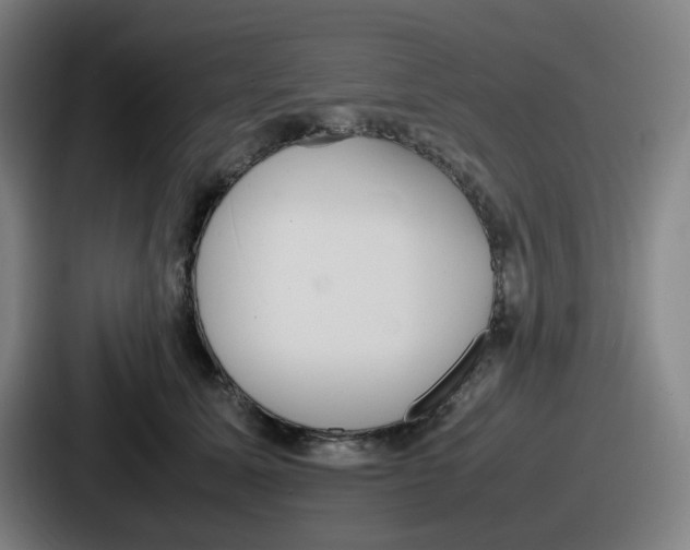 X0000086910611200705141704