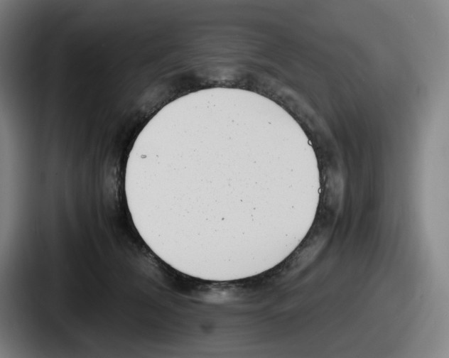 X0000086910612200705141704