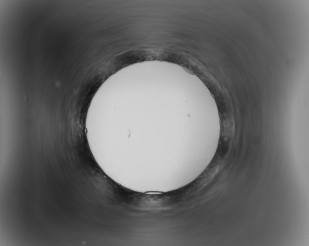 X0000086910613200705141704