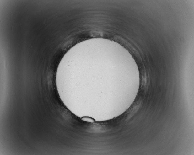 X0000086910616200705141704