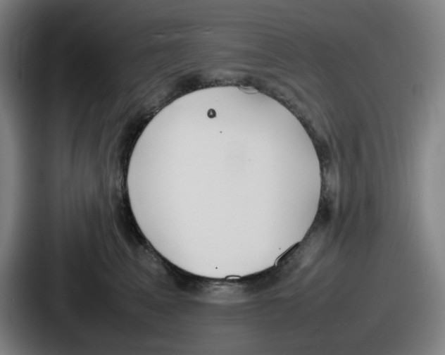 X0000086910617200705141704