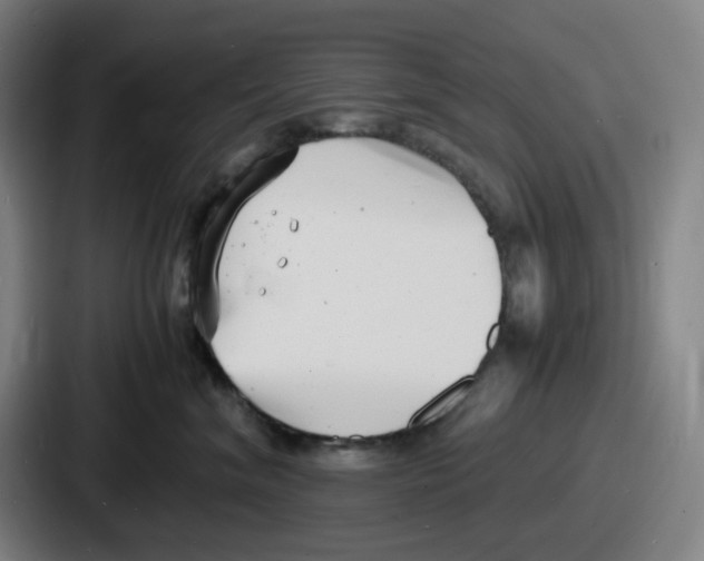 X0000086910620200705141704