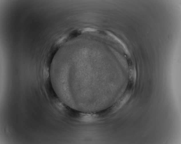 X0000086910621200705141704