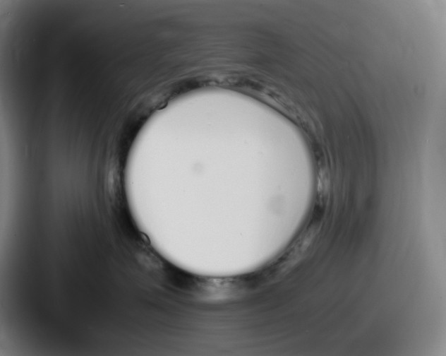 X0000086910623200705141703