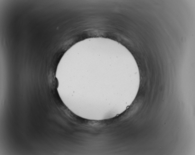 X0000086910624200705141703