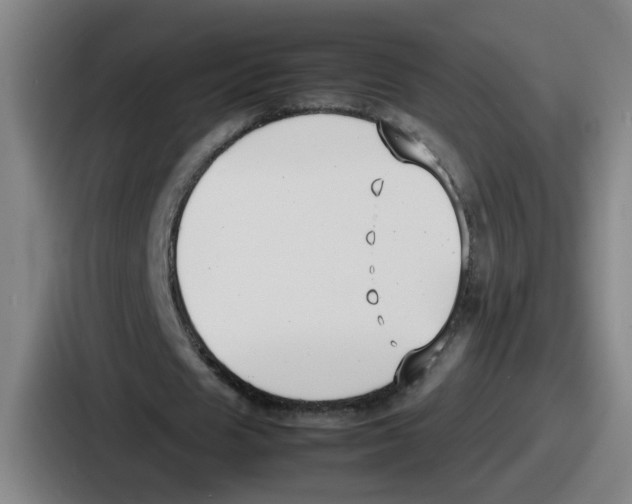 X0000086910625200705141703