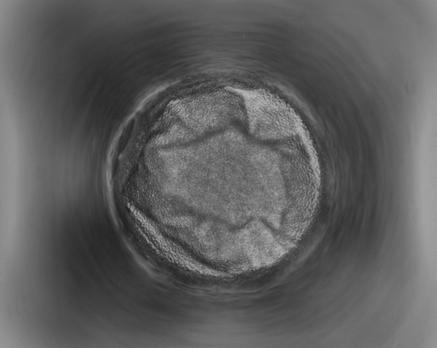 X0000086910626200705141703