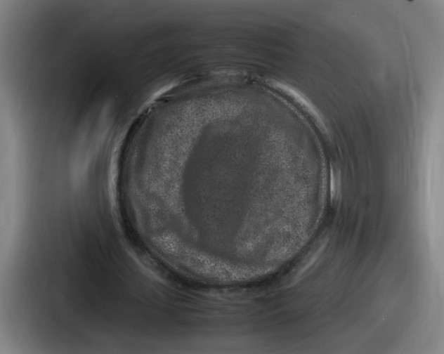 X0000086910627200705141703